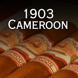 LA AURORA 1903 CAMEROON