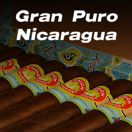 PUNCH GRAN PURO NICARAGUA