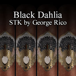 GRAN HABANO BLACK DAHLIA STK BY GEORGE RICO